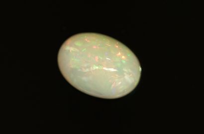 OPALE cabochon ovale sur papier 10.45ct (17x12mm...