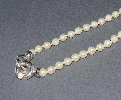 COLLIER chocker de perles AKOYA (D: 5.5mm),...