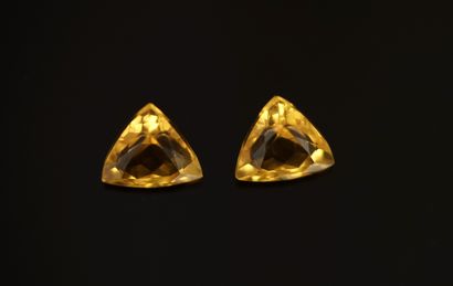 2 CITRINES sur papier taille trillion pouvant...