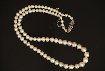 COLLIER de perles de culture blanches en...