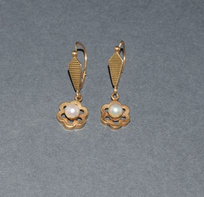 PAIR OF EARPENDANTS in 18K (750/°°) yellow...
