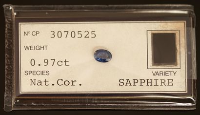 SAPHIR naturel sur papier taille ovale pour...