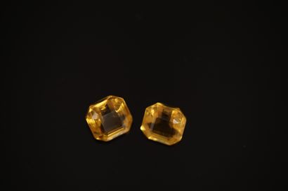 2 CITRINES sur papier taille coussin carré...