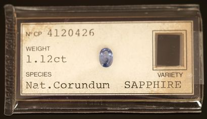 SAPHIR naturel sur papier taille ovale pour...