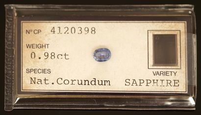 SAPHIR naturel sur papier taille ovale pour...