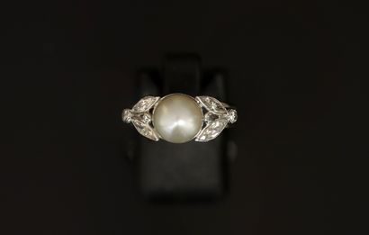 RING in platinum and 18k (750/°°) white gold...