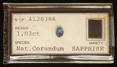 SAPHIR naturel sur papier taille ovale pour...