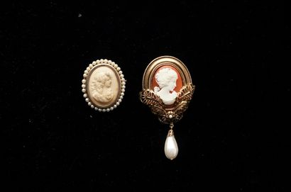 FANTAISIE - SET of 2 synthetic CAMEE PINS...
