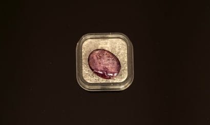 RUBY CAT'S EYE on paper, oval cabochon, ...