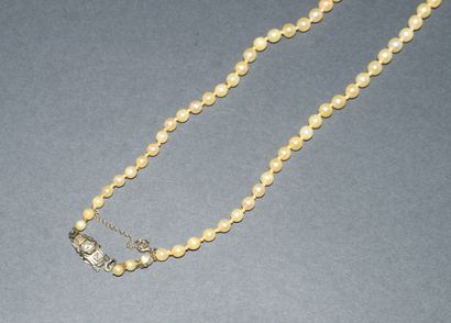 COLLIER DE PERLES de culture blanches en...