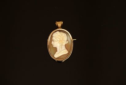 18K (750/°°) gold PENDANT pin presenting...