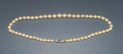COLLAR OF FALLING CULTURAL PEARLS, D: 5/5.5...
