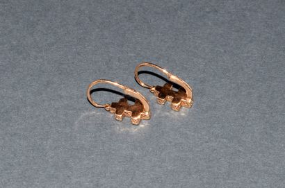 DORMEUSES in 18K (750/°°) yellow gold with...