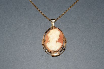 CAMEE COQUILLE PENDANT in 18K (750/°°) yellow...