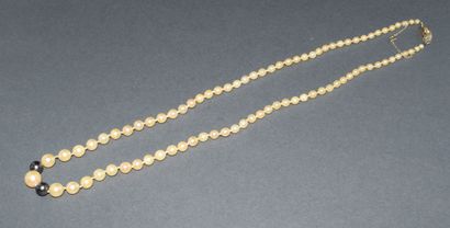 COLLIER DE PERLES de culture blanches en...