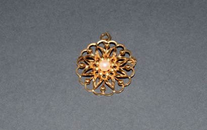 18K (750/°°) yellow gold BROCHURE PENDANT...