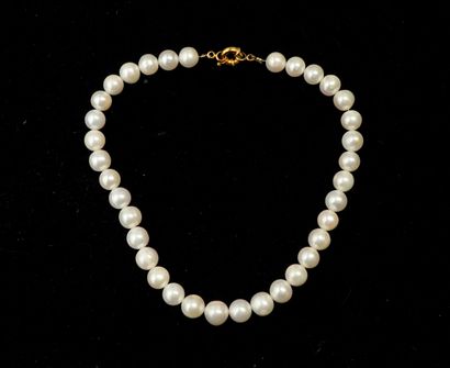 NECKLACE with large white freshwater pearls...