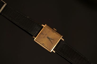 HAM'S WATCH Antichoc - Vintage men's BRACELET...
