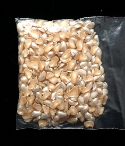 LOT of mother-of-pearl elements (