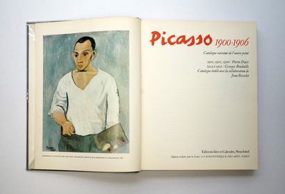 PICASSO: Catalogue raisonné of painted works,...