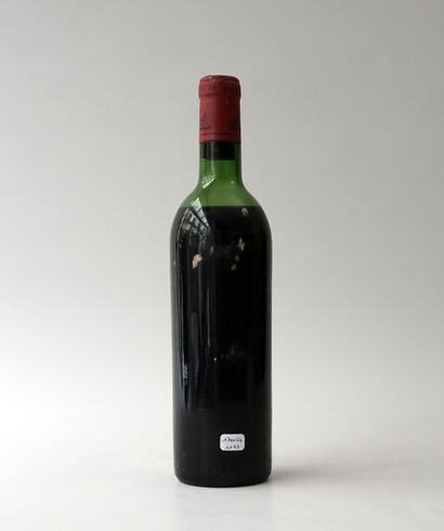 Bottle 