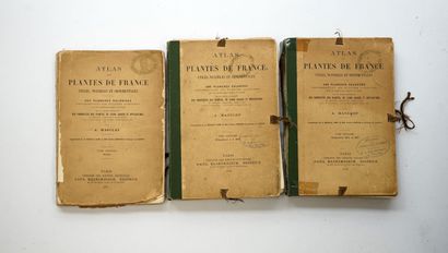 Amédée MASCLEF - Atlas of useful, harmful...