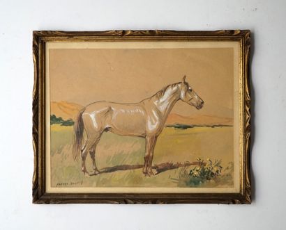 MATTEO BRONDY (1866-1944), Etude de cheval,...