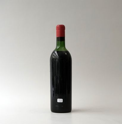 Bottle 