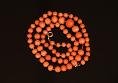 COLLAR of orange coral balls, 4 to 8mm. Spring-ring...
