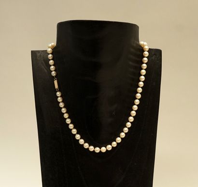 CHOKER COLLAR of white cultured pearls, D:...