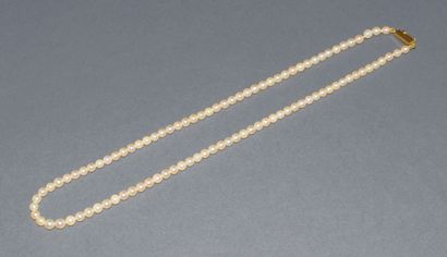 CHOKER COLLAR of sea water cultured pearls....