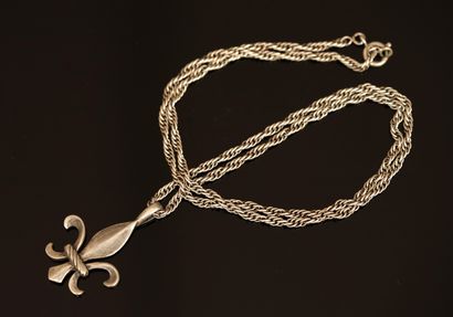 Twisted chain and fleur-de-lis pendant in...