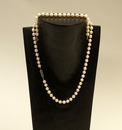 SET comprising 1 CHOKER NECKLACE and 1 BRACELET...