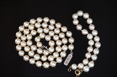 SET comprising 1 CHOKER NECKLACE and 1 BRACELET...