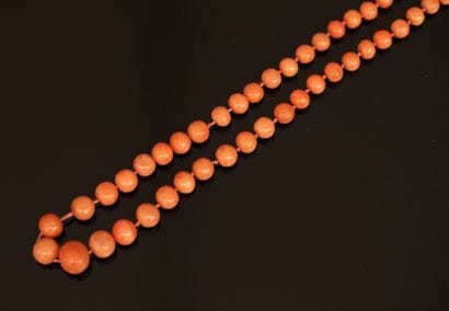 COLLAR of orange coral balls, 4 to 8mm. Spring-ring...