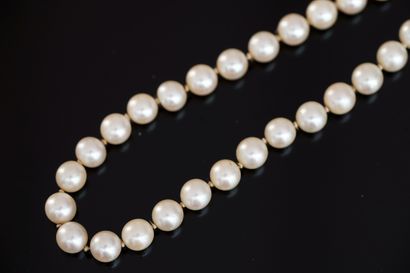 CHOKER COLLAR of white cultured pearls, D:...