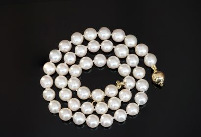 CHOKER COLLAR of white cultured pearls (D:...