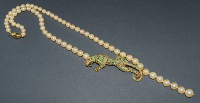 COLLAR of falling Akoya pearls, diameter...