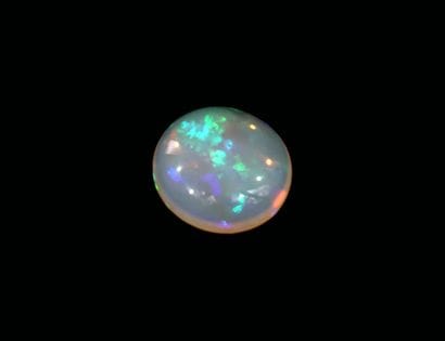 Oval cabochon OPAL on paper for 14.17ct (20x7mm...