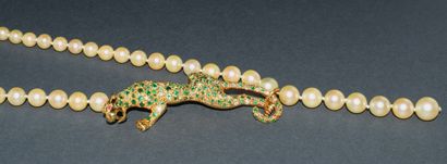 COLLAR of falling Akoya pearls, diameter...