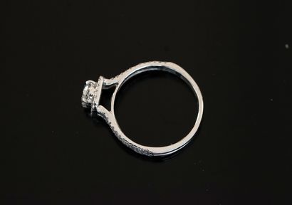 RING in 14k (585/°°) white gold, centered...