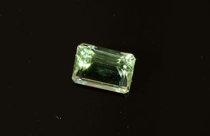 Rectangular faceted PRASIOLITE on paper for...