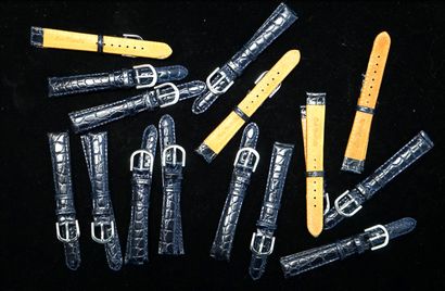 LOT N°6 de 15 bracelets de montre en cuir...