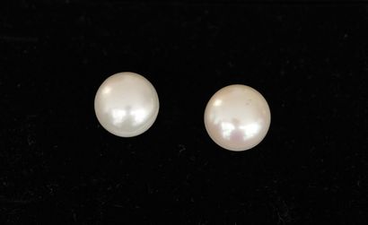 PAIR OF 925/°° silver earrings adorned with...