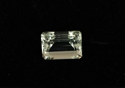 Rectangular faceted PRASIOLITE on paper 18.5ct....