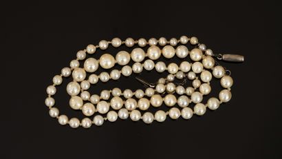 COLLAR of tumbling cultured pearls (worn),...