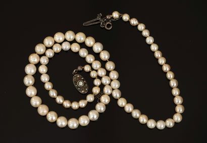 COLLAR of tumbling cultured pearls (worn),...