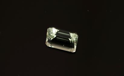 Rectangular faceted PRASIOLITE on paper 18.5ct....