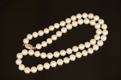 COLLIER CHOKER de perles d'eau douce rondes...