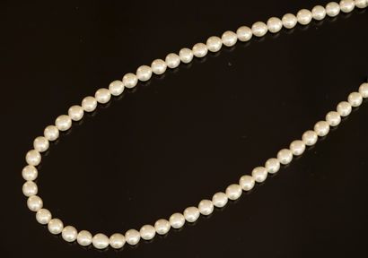 COLLIER CHOKER de perles d'eau douce rondes...